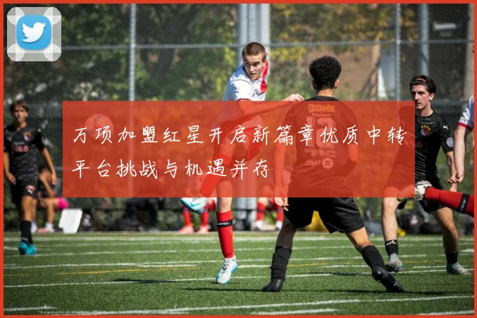 万项加盟红星开启新篇章优质中转平台挑战与机遇并存