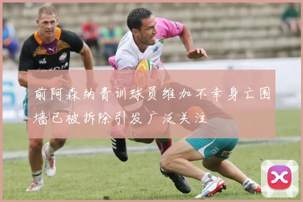 前阿森纳青训球员维加不幸身亡围墙已被拆除引发广泛关注